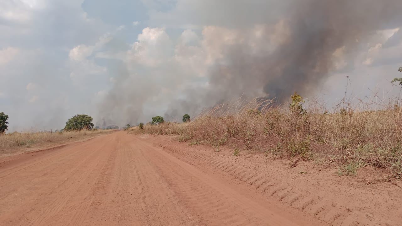 Fogo atinge PA nacional - veja vídeo