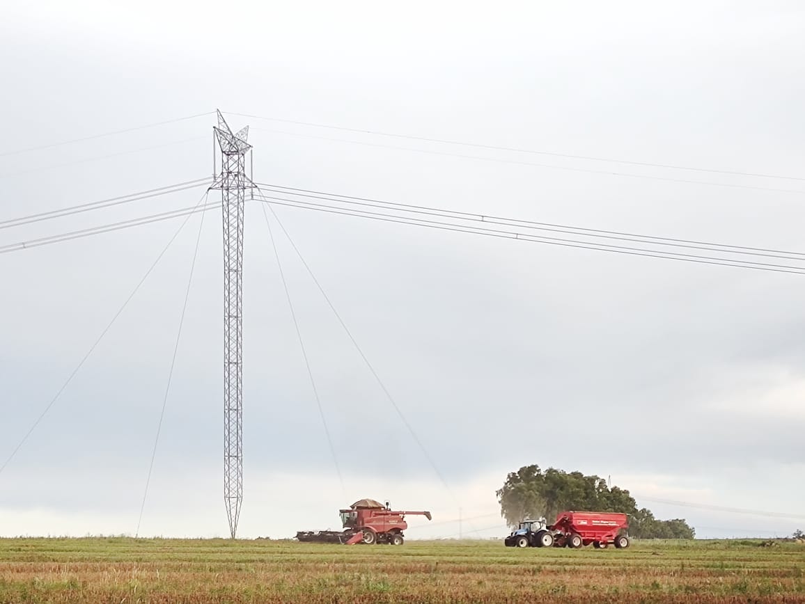 Agosto vermelho: confira dicas de segurança para evitar acidentes com a rede elétrica