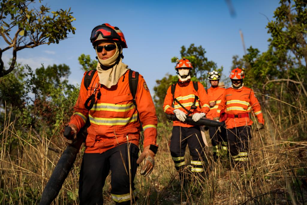 Governo de MT prorroga período proibitivo para queimadas até 30 de novembro