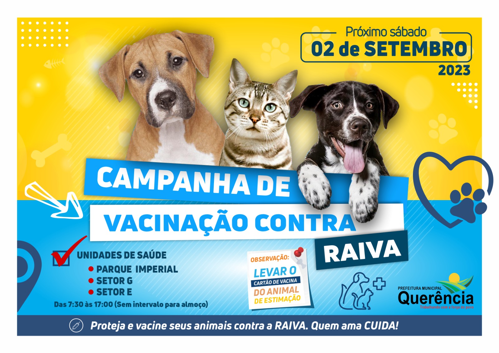 Campanha de vacinação antirrábica em cães e gatos; veja vídeo