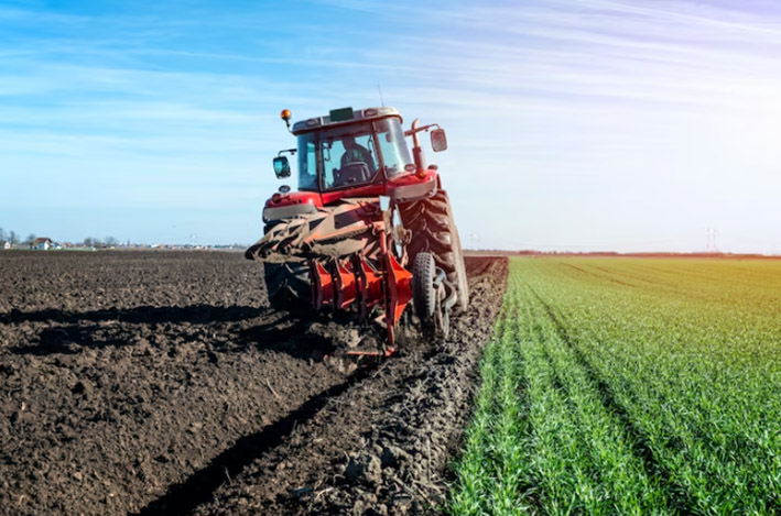 Onda de calor no Brasil ameaça produção agrícola e preços dos alimentos
