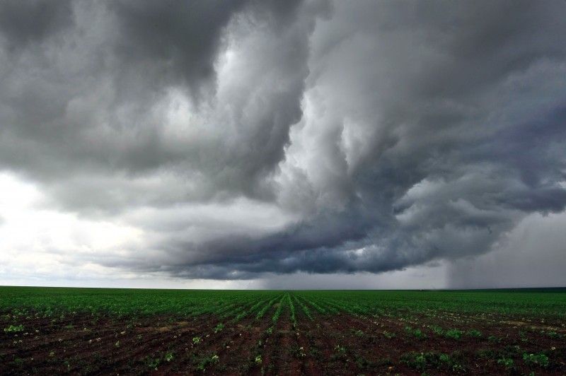 Foto: Reprodução El Niño deve trazer fortes chuvas e mudanças bruscas na temperatura para as próximas semanas para Querência e região