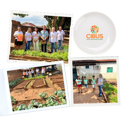 MP visita hortas comunitárias nas escolas do Projeto “CIBUS” em Ribeirão Cascalheira