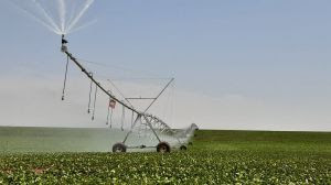 Classe agrícola da América do Sul contrariada com Europa