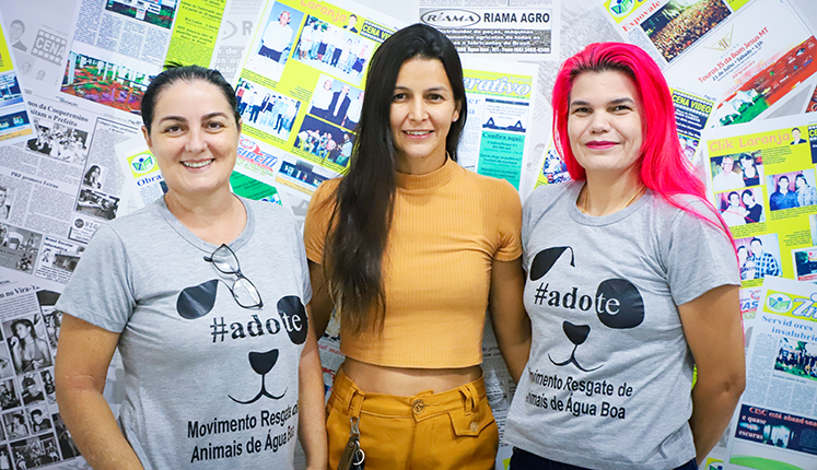 Amor e dedicação à causa animal: ONG resgata mais de 500 animais - veja detalhes