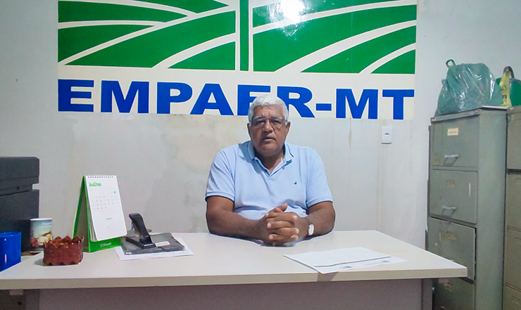 A safrinha ocupou mais de 74 mil hectares - veja vídeo