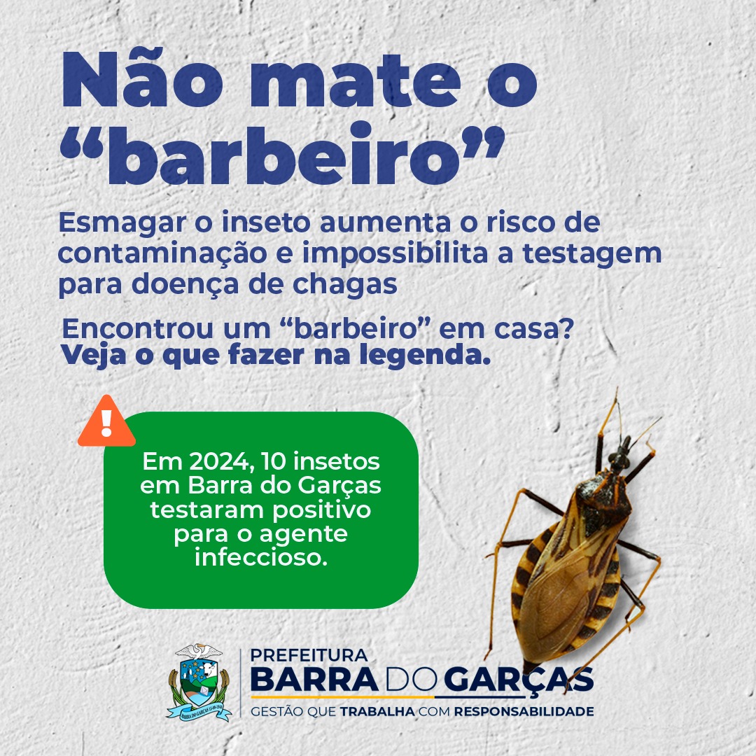 Dez “barbeiros” positivos para Chagas foram encontrados em Barra do Garças