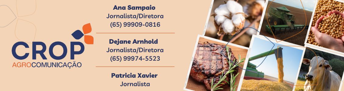Biológicos no manejo de fitonematóides podem gerar retorno econômico de até 8 sc/ha de soja