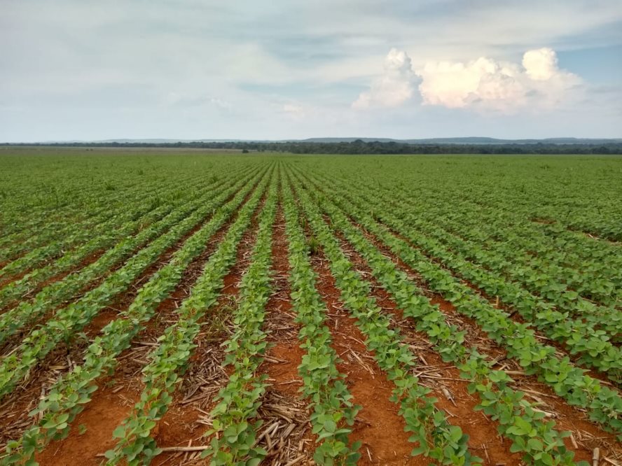Aprosoja apoia projeto que quer aprimorar Seguro Rural e faz indicações