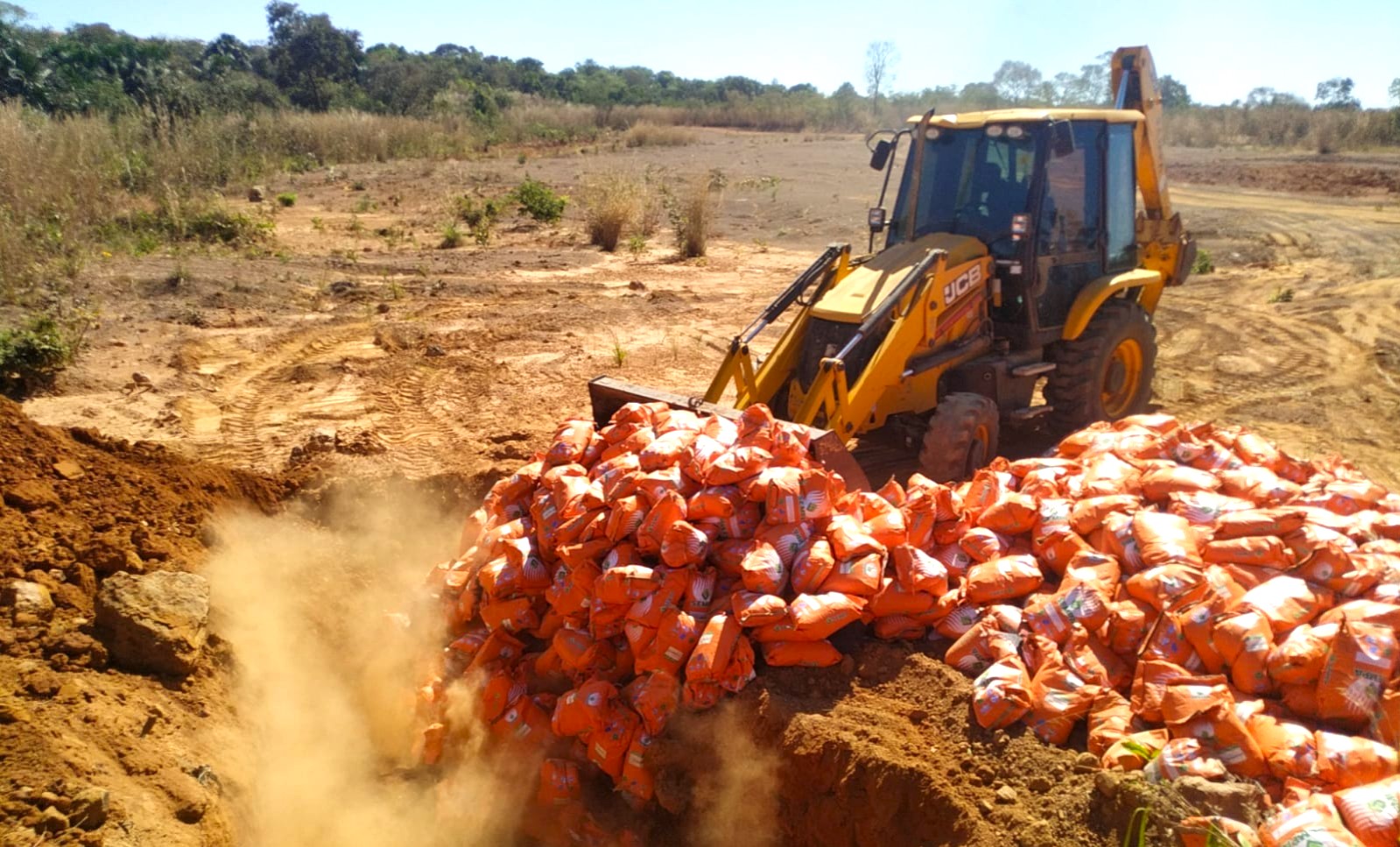 Mais de 15 toneladas de sementes irregulares apreendidas em fiscalização do Indea são destruídas em Agua Boa