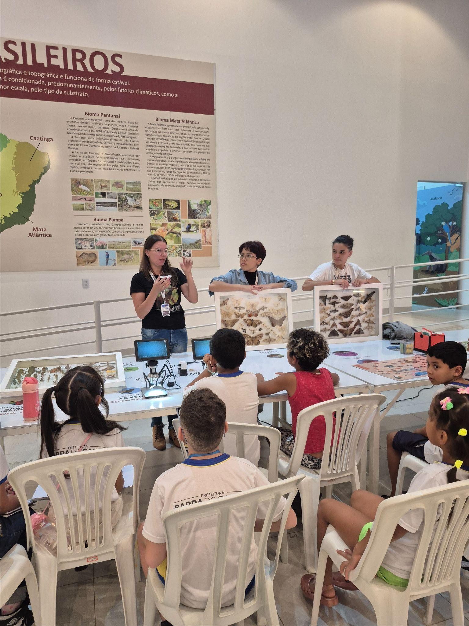 Museu de História Natural do Araguaia lança programação interativa para férias