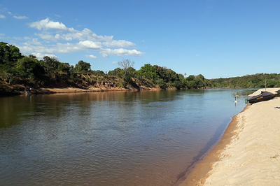 MPF apura destruição de vegetação natural em unidade de conservação próxima ao Rio Araguaia (MT)