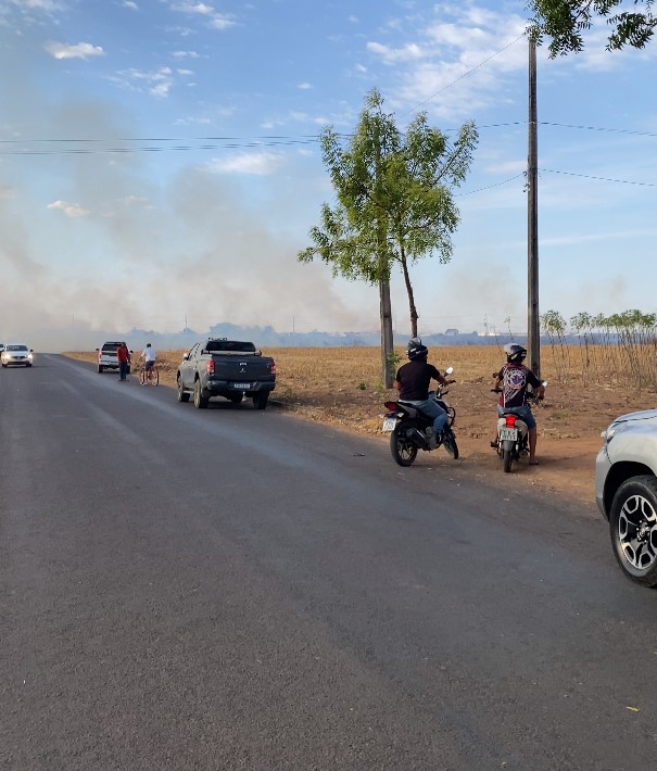 Incêndio atinge palhada de milho na entrada do Bela Vista, em Querência; caso ocorre em período proibitivo do uso do fogo em MT