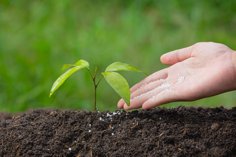 Brasil registra aumento nas importações de fertilizantes em 2024