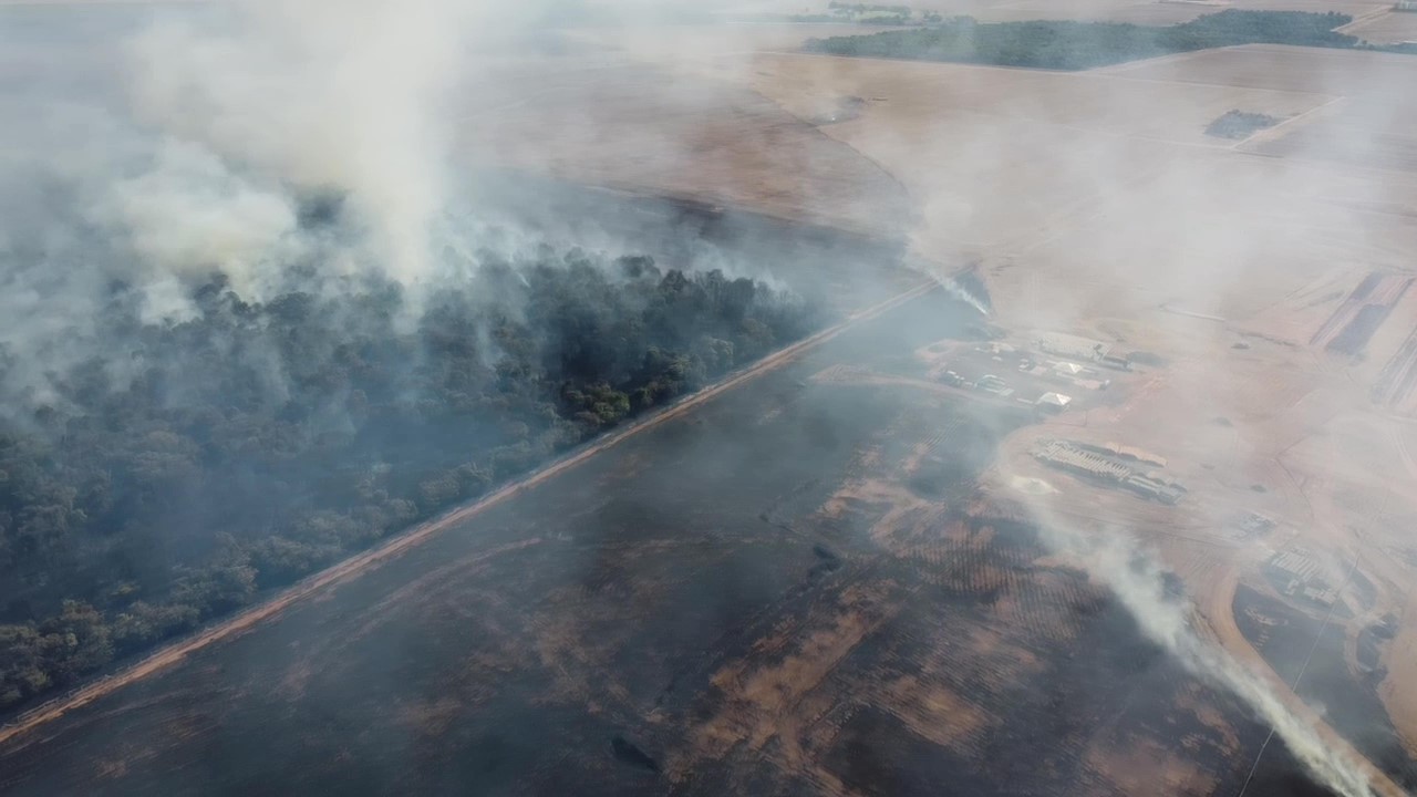 Fogo em área de vegetação alcança canteiro da FS Bioenergia em Querência