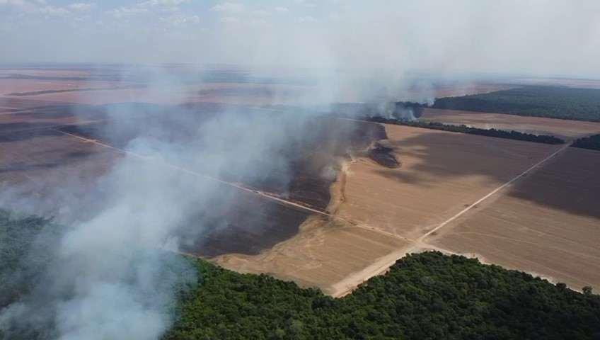 Incêndio de grandes proporções atinge lavoura da Fazenda Santa Terezinha no Pingos D’Água