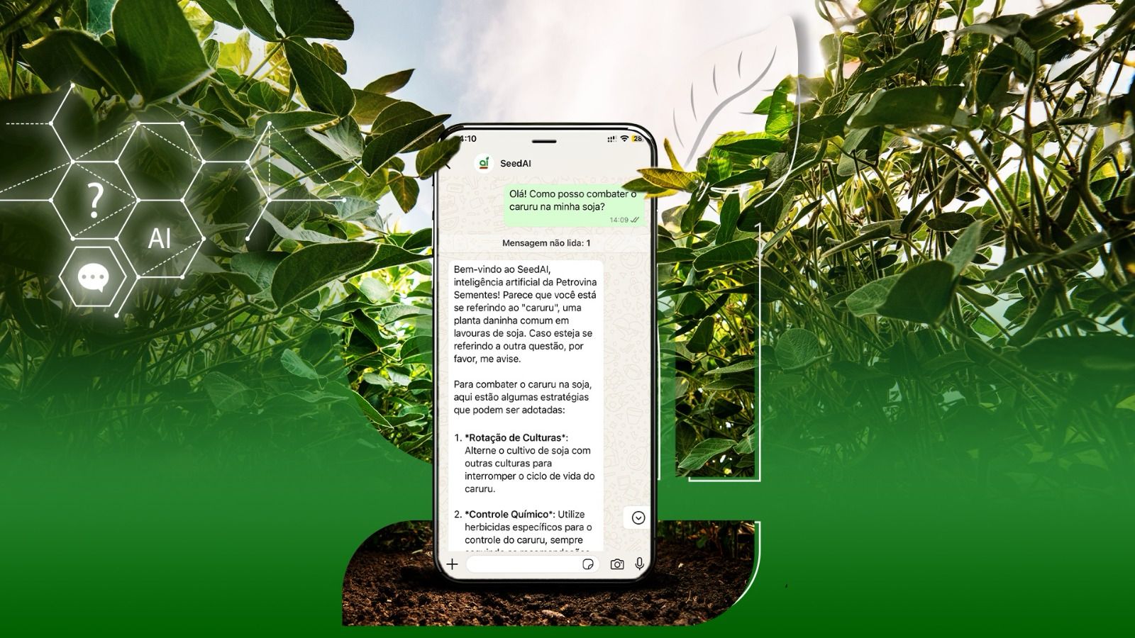 Agronegócio conta com ferramenta de Inteligência Artificial especializada em sementes