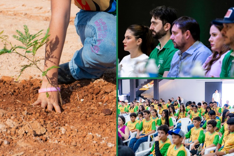 Projeto de viveiro permanente é lançado com apoio do Ministério Público