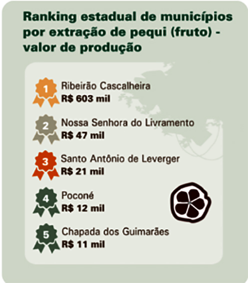 Rib. Cascalheira é destaque na produção de pequi