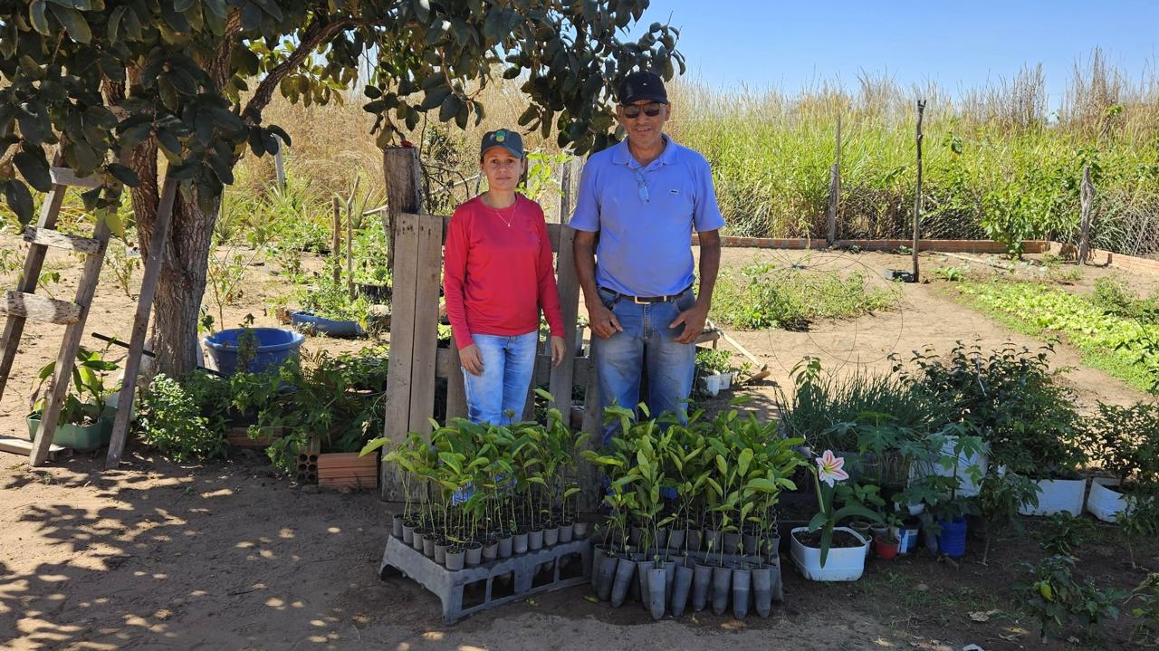 Entrega de mudas de maracujá fortalece agricultura familiar no P.A Nacional