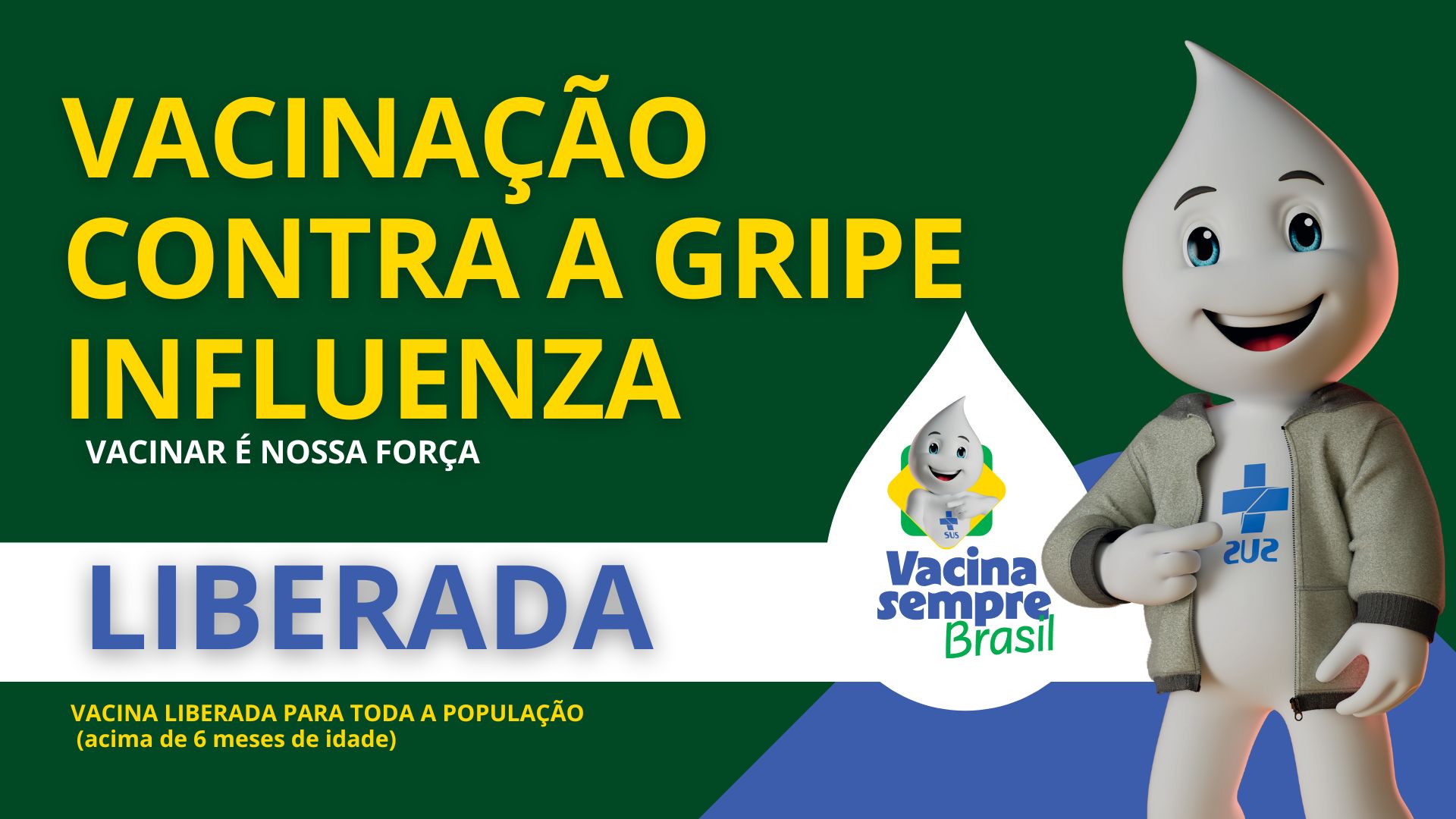 Vacinação contra gripe Influenza está liberada para toda a população