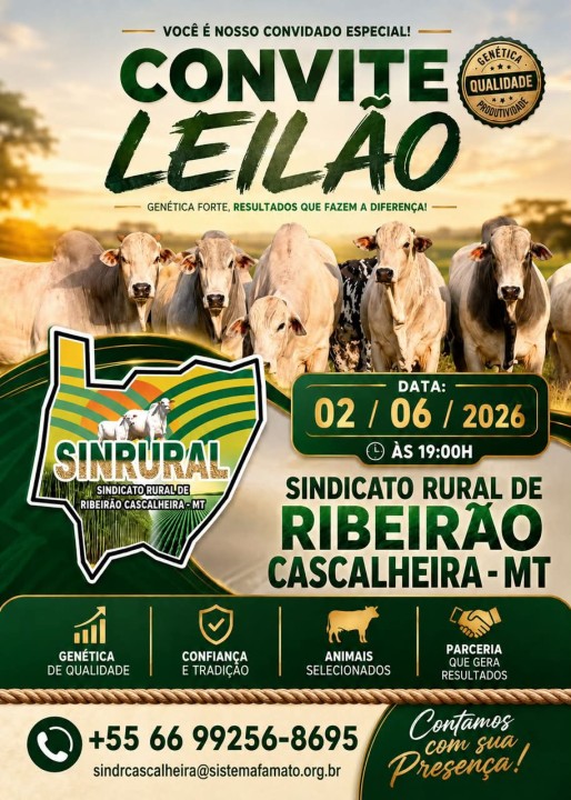 Leilão reúne produtores rurais em Ribeirão Cascalheira
