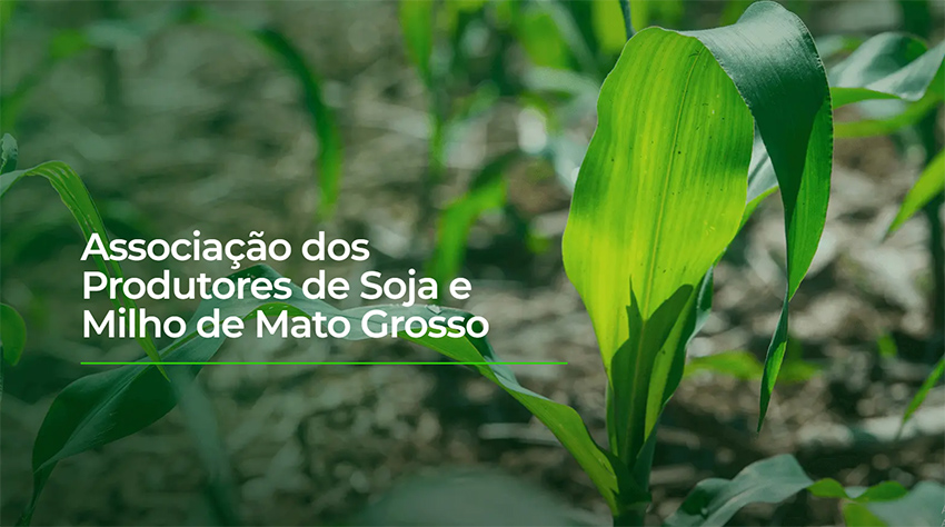 Rodada técnica da Aprosoja é hoje em Água Boa