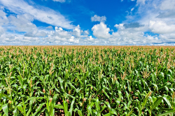 Produção de biodiesel cresce e Mato Grosso responde por 26% do volume nacional