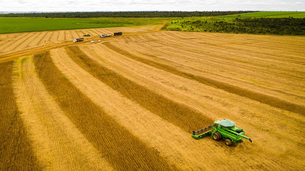 Mato Grosso consolida safra com produção recorde e mantém liderança na soja desde 1999