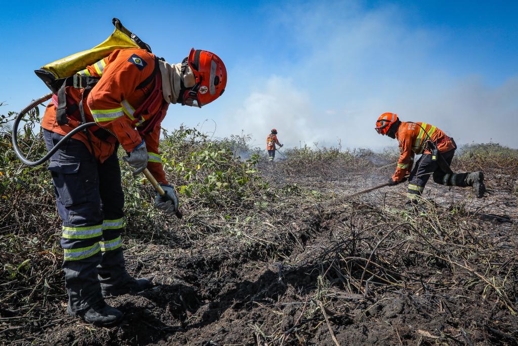 Governo publica decreto que estabelece período proibitivo de uso do fogo
