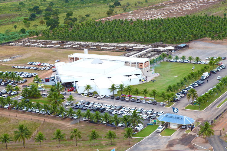 Aeria Cuiaba