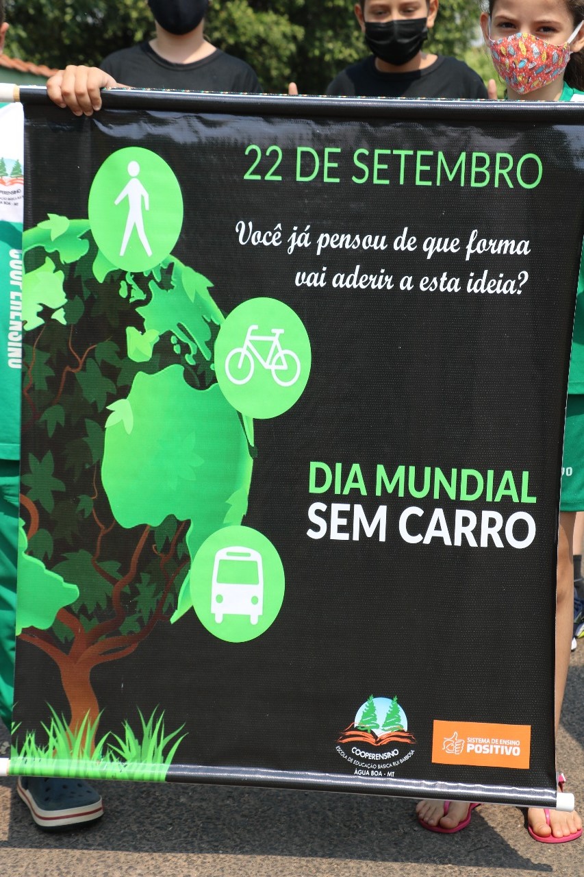 sem carro 2