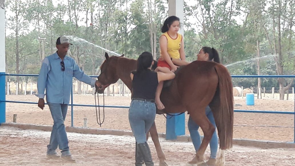 equo 2