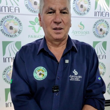 Chuvas destravam plantio em Querência e no Mato Grosso; seguro rural encolhe e China acelera plano para reduzir uso de farelo de soja até 2